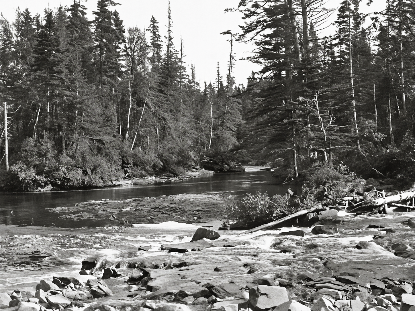 Rivière bordée de forêt près de Sept-Îles