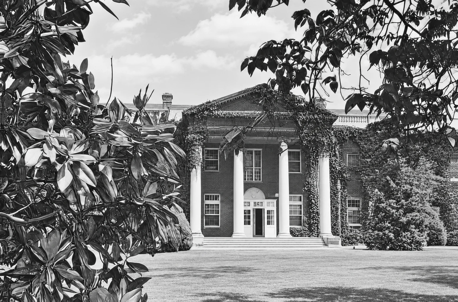 Exterior - Facade